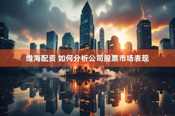 维海配资 如何分析公司股票市场表现