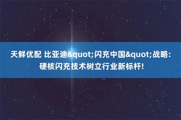 天鲜优配 比亚迪"闪充中国"战略: 硬核闪充技术树立行业新标杆!