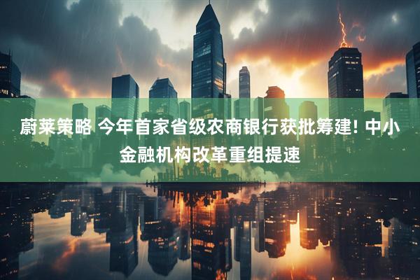 蔚莱策略 今年首家省级农商银行获批筹建! 中小金融机构改革重组提速