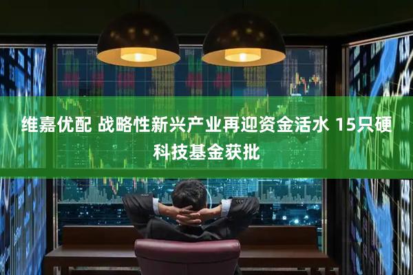 维嘉优配 战略性新兴产业再迎资金活水 15只硬科技基金获批