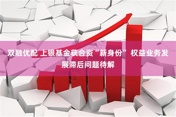 双融优配 上银基金获合资“新身份” 权益业务发展滞后问题待解
