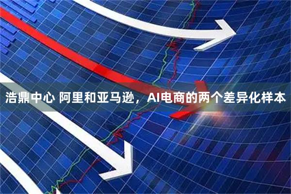 浩鼎中心 阿里和亚马逊，AI电商的两个差异化样本