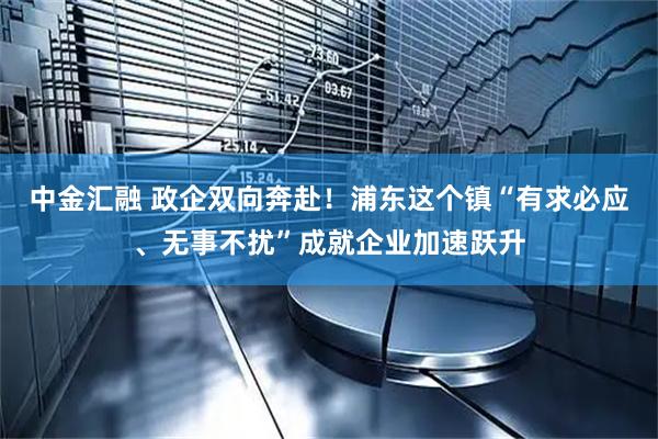 中金汇融 政企双向奔赴！浦东这个镇“有求必应、无事不扰”成就企业加速跃升